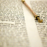 Torah Portion