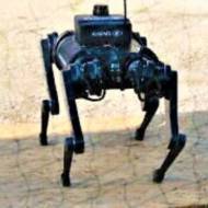 Rafael Robotic Dog