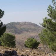 Mount Nebo