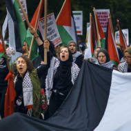 anti-Israel Protesters