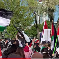 Anti-Israel protesters in Canada