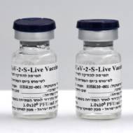 experimental covid-19 vaccine