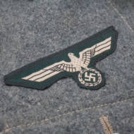 Nazi insignia