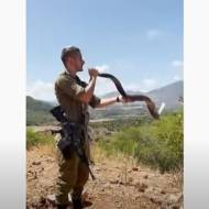 IDF Shofar