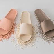 Balena eco-slides