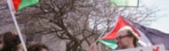 The Real Meaning of ‘Pro-Palestinian’ – opinion