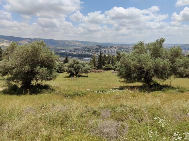 15 stroller-friendly and accessible hikes in Israel