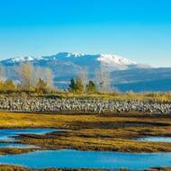 Hula Valley