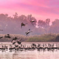 Hula Valley