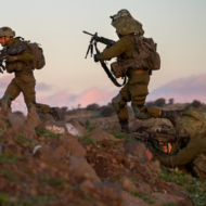 IDF training