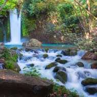 Nahal,Hermon,Nature,Reserve,(banias),-,The,Largest,,Most,Powerful