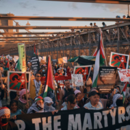 Pro-Palestinian protest, New York