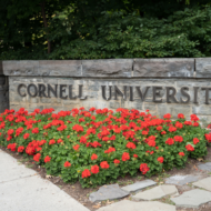 Cornell University