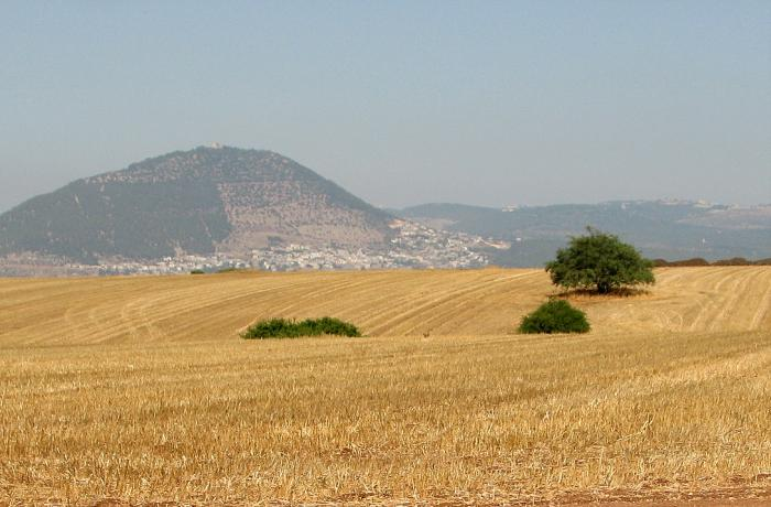 On this summit of Mount Tabor, Barak stationed his 10,000 troops. Photo Credit: PikiWiki – Israel free image collection project –  Creative Commons Attribution 2.5 Generic