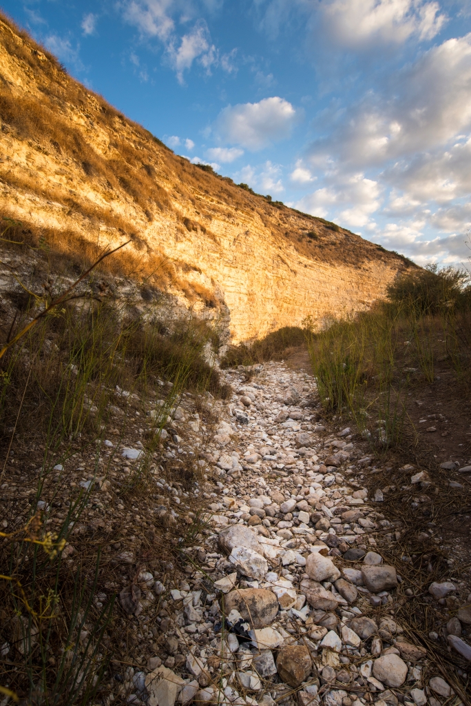 Terebinth valley brook with smooth stones, preserved from King David's time, creating a peaceful natural landscape