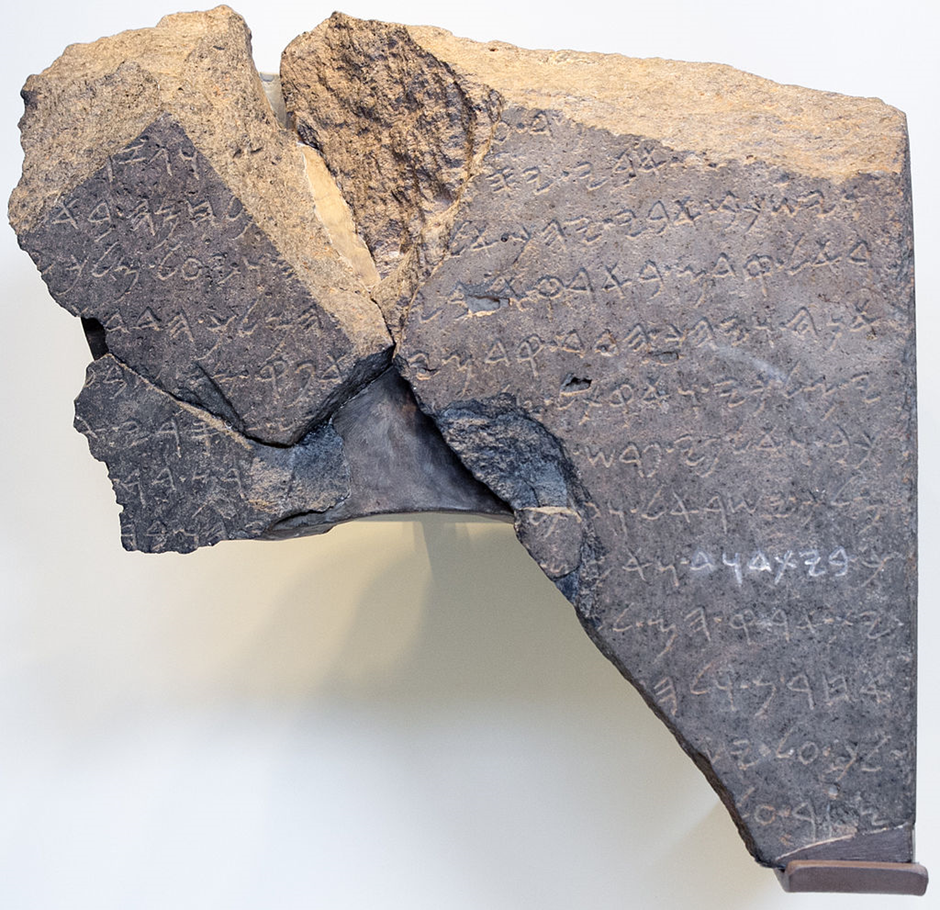 The Tel Dan Stele today can be viewed by tourists on display at the Israel Museum. The words “House of David” are bolded in white. Photo Credit: Oren Rozen – CC BY-SA 4.0