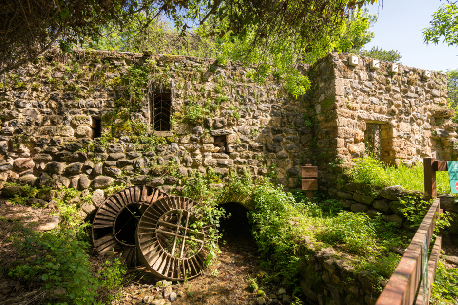 The old flour mill can still be seen while walking along the gorgeous nature trails of Tel Dan. Photo Credit: Shutterstock