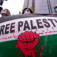anti-Israel protesters