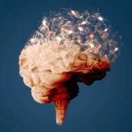 Brain degenerative