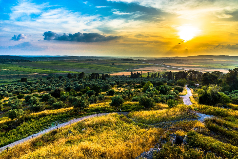 The sun setting in the Ayalon Valley is always a sight to behold. In Biblical times, the most dramatic sunset in world history took place here. Photo Credit: Shutterstock The sun setting in the Ayalon Valley is always a sight to behold. In Biblical times, the most dramatic sunset in world history took place here. Photo Credit: Shutterstock