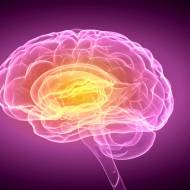 Memory neurons
