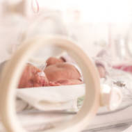 Premature baby