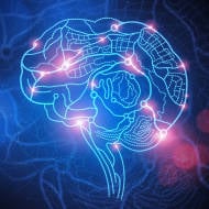 Mapping the brain.